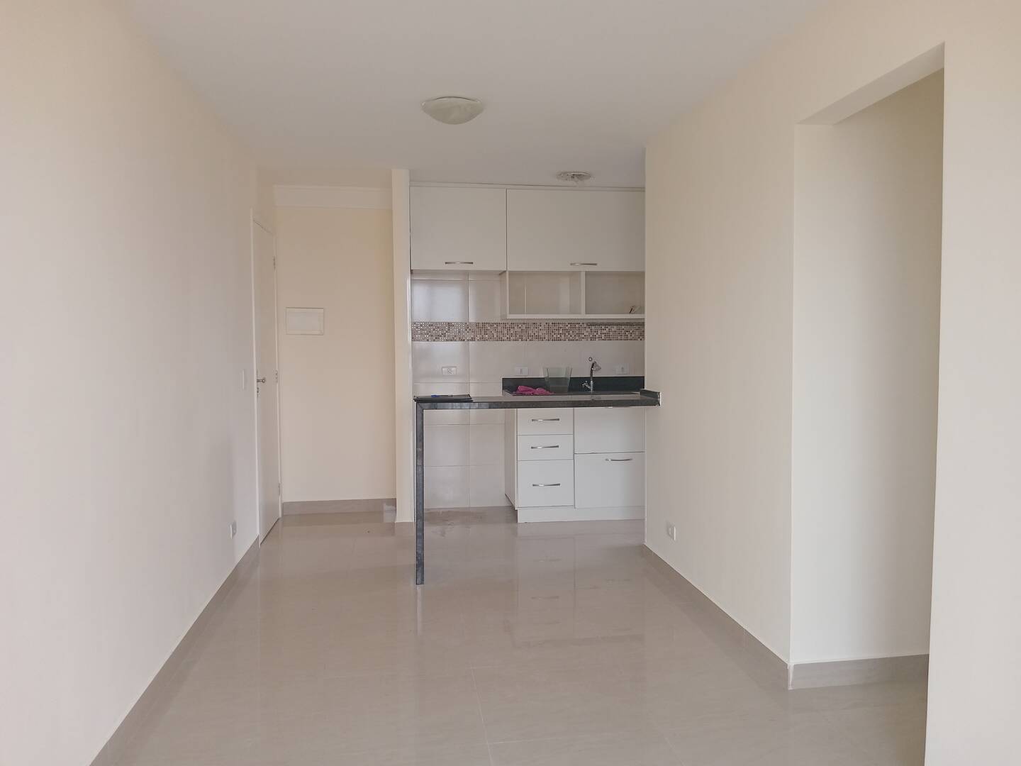 Apartamento à venda e aluguel com 2 quartos, 50m² - Foto 9